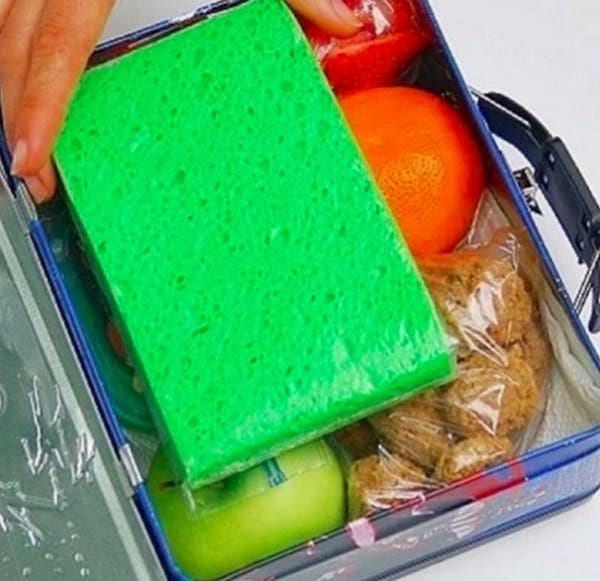 une éponge gelée pour rafraichir un gouter ou un pique nique