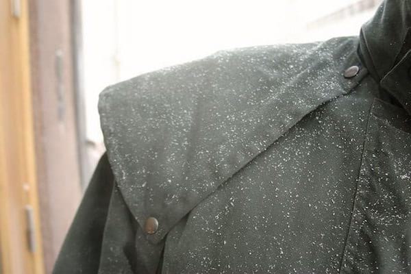 pellicule cheveux remède naturel