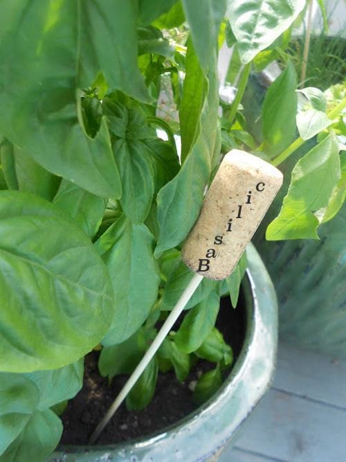 bouchon pour marquer les semis