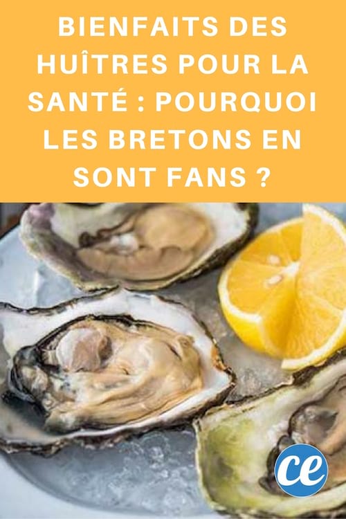 Bienfaits Des Huitres Pour La Sante Pourquoi Les Bretons En Sont Fans