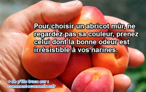 Astuce pour choisir un abricot mûr à l'odeur