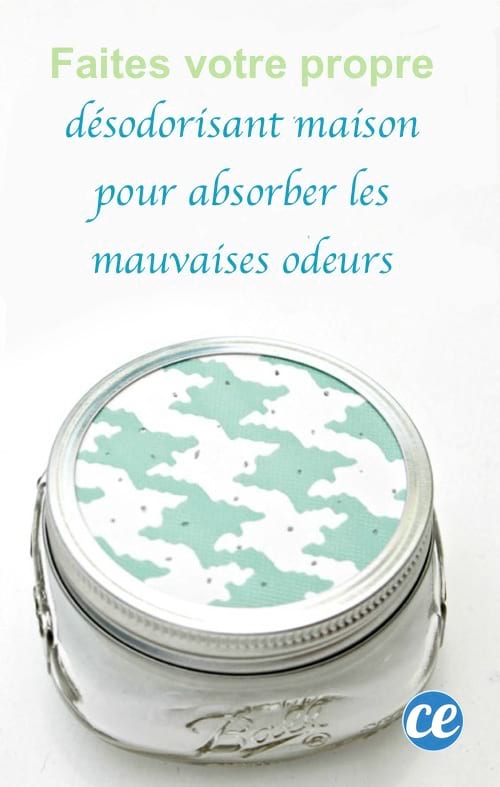 un désodorisant fait maison pour la voiture