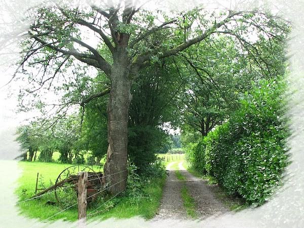 trouver un caillou au bord d'un chemin aide à enlever un point de côté