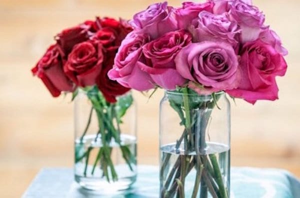 le vinaigre permet aux fleurs coupées de tenir plus lobgtemps