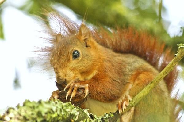 Voici les meilleures astuces pour trouver des fruits secs pas chers.