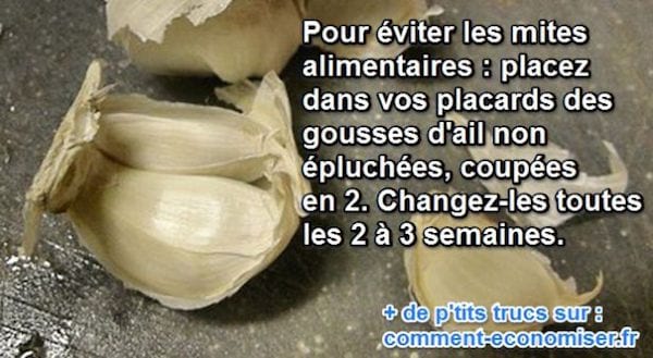 l'ail éloigne les mites