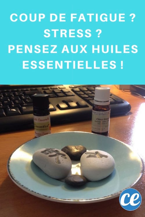 Huiles essentielles relaxantes tonifiantes