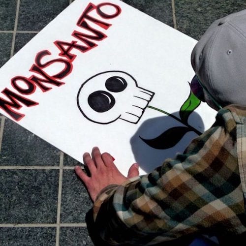 Monsanto Tete de Mort en graffiti