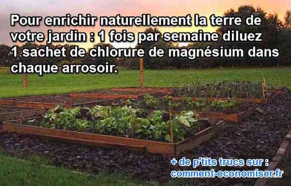 le chorure de magnésium comme engrais de potager