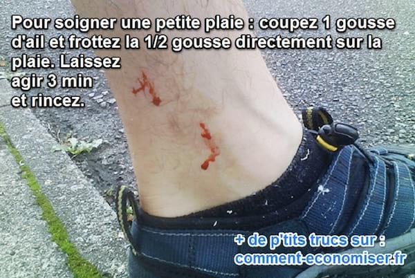 Remède pour soigner égratignure avec de l'ail