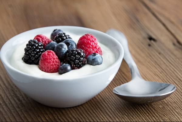 les chiens peuvent manger du yaourt