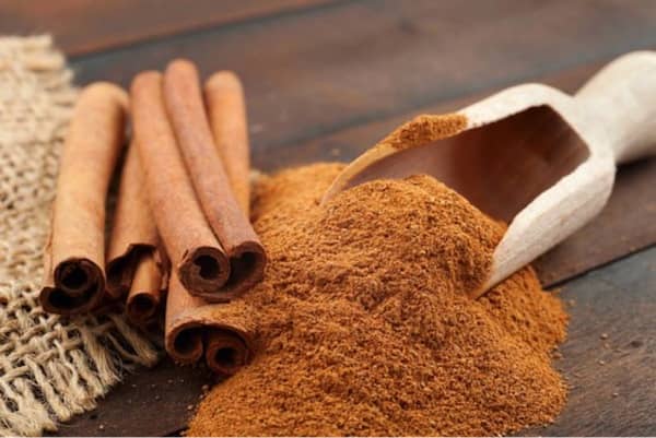 les chiens doivent éviter la cannelle