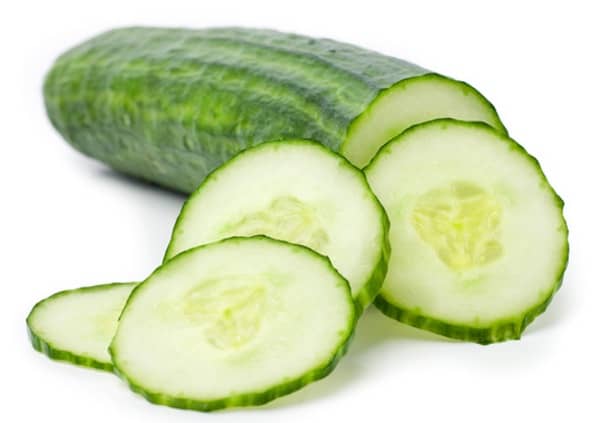 les chiens peuvent manger des concombres