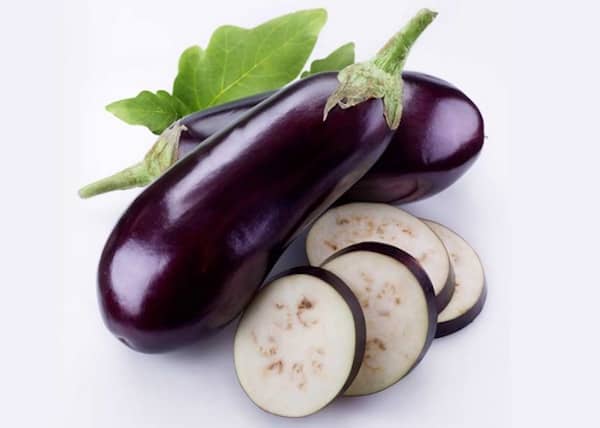 les chiens peuvent manger des aubergines cuites