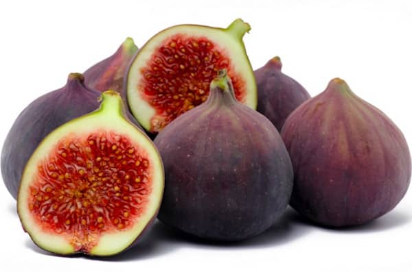 les chiens peuvent manger des avec modérations