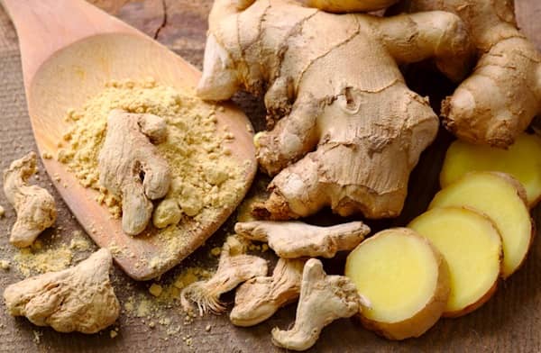 les chiens peuvent manger un petit peu de gingembre