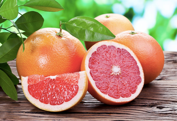 les chiens ne doivent pas manger de pamplemousse