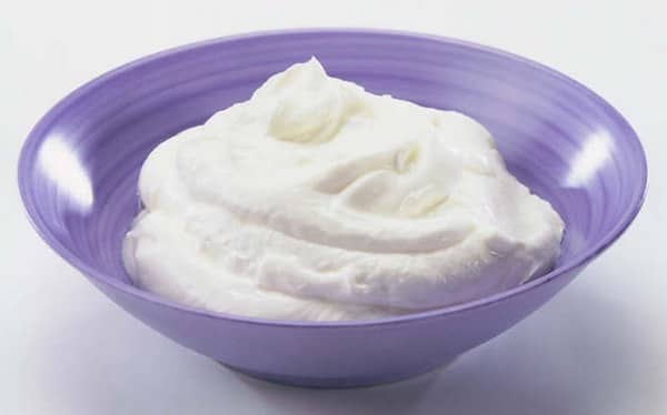 les chiens peuvent manger du yaourt grec