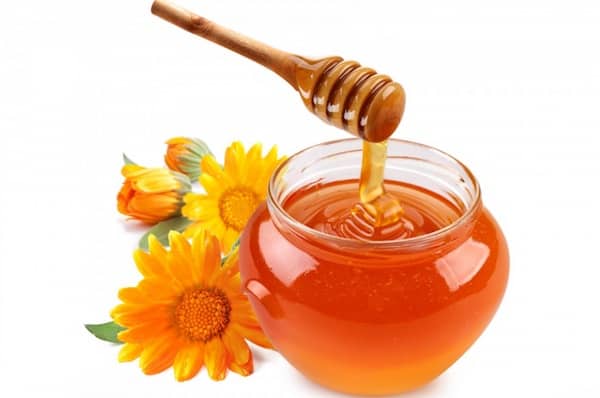 le miel est sain pour les chiens