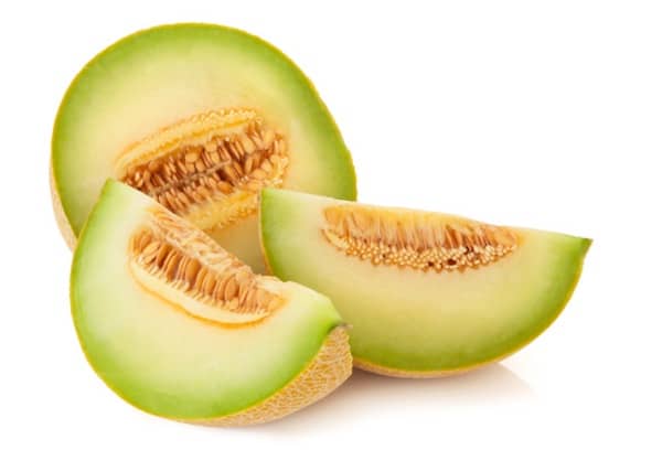 les chiens peuvent manger du melon vert