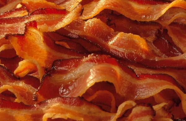 les chiens ne doivent pas manger de bacon