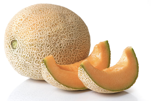 les chiens peuvent manger du melon