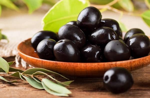 les chiens peuvent manger des olives