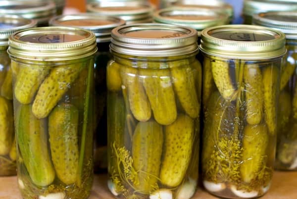 les chiens ne doivent pas manger de cornichons