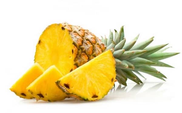 les chiens peuvent manger des ananas