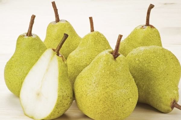 les chiens peuvent manger des poires