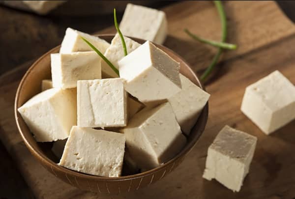 les chiens ne doivent pas manger de tofu