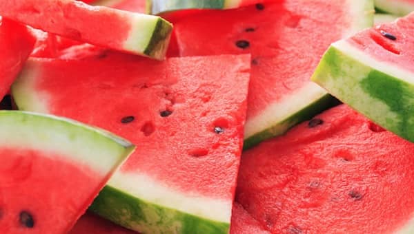 les chiens peuvent manger de la pastèque