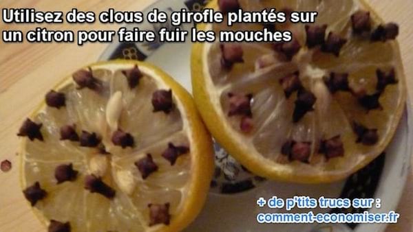 clous de girofle et citron font fuir les mouches