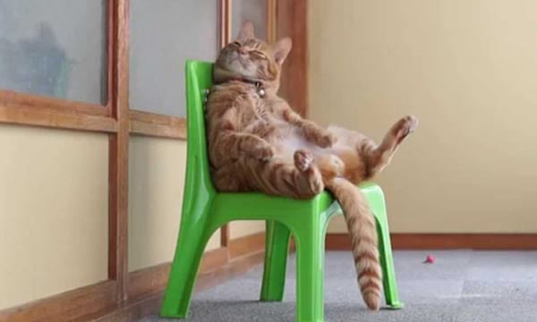 travailler les fessiers