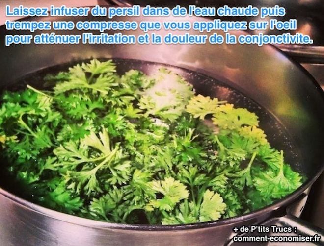 Infusion de persil dans de l'eau chaude pour tremper une compresse pour atténuer l'irritation de la conjonctivite.
