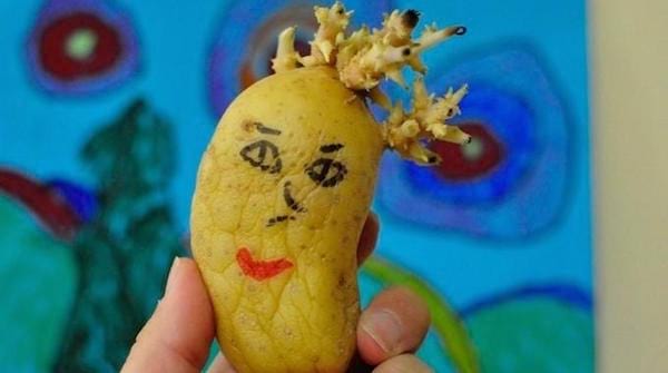 Comment conserver les patates sans les faire germer