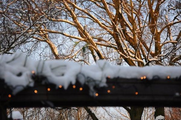 Décorer jardin pour noël avec neige