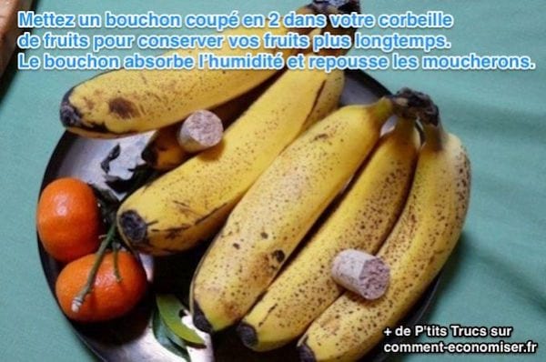 comment empêcher les fruits de noircir et pourrir trop rapidement et repousser les moucherons