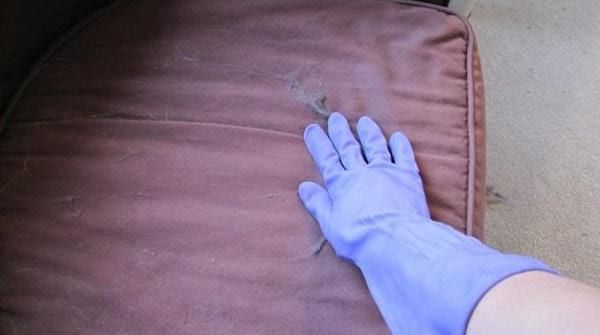 Comment enlever les poils de chats facilement sur le canapé