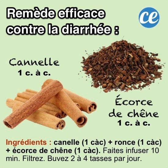 une infusion à la cannelle, aux ronces et aux écorces de chêne comme traitement anti-diarrhée