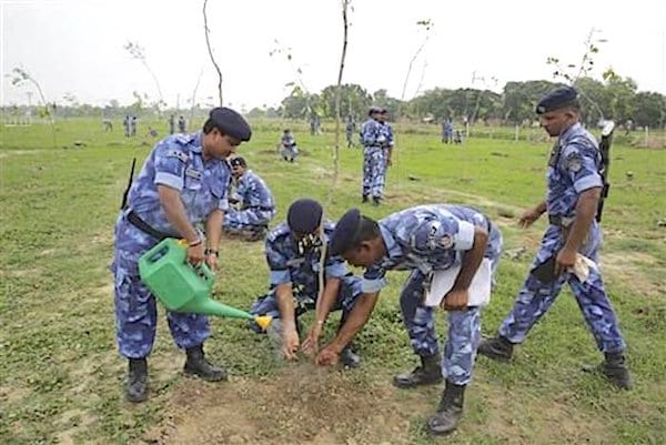 Militaires en inde qui plantent des arbres dans la terre