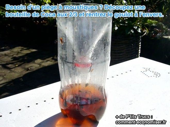 piege à moustique astucieux avec une bouteille de coca