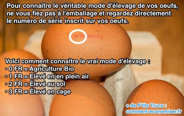 Savoir si vos Oeufs sont Vraiment Bio ou Label Rouge et de reconnaître leur mode d'élevage à coups sûrs