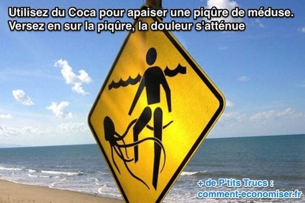 le coca attenue la douleur des piqures de méduse