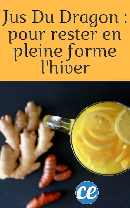 Recette du jus du dragon pour rester en pleine forme en hiver