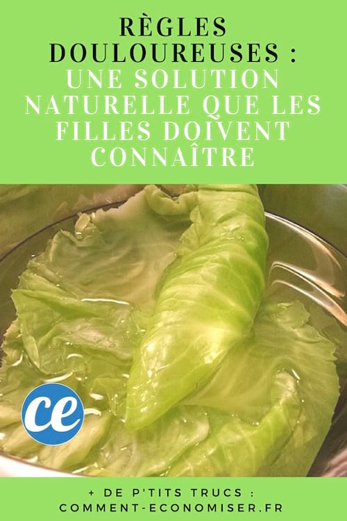 une infusion de chou pour lutter contre les règles douloureuses
