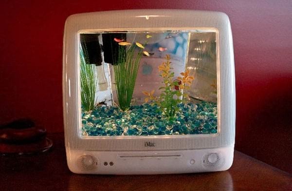 un écran télé devient un aquarium