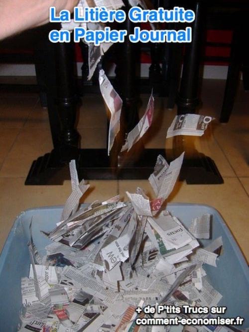 Litiere chat gratuite papier journal