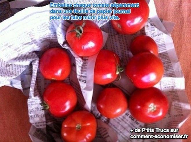 Emballer les tomates dans du papier journal pour les faire mûrir plus rapidement