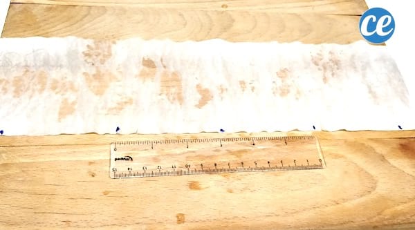 espacer correctement les graines avant de les planter